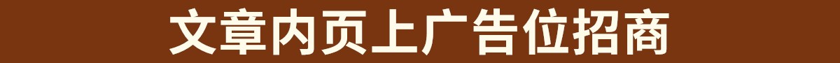 文章页正文上方示例