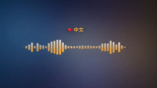IndexTTS 2.5 开源：这一次，声音真的开始跨语言了