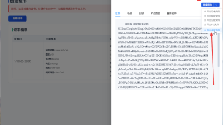 Windows 本地 HTTPS 配置教程:使用 CertTool 创建自签名证书并部署到宝塔