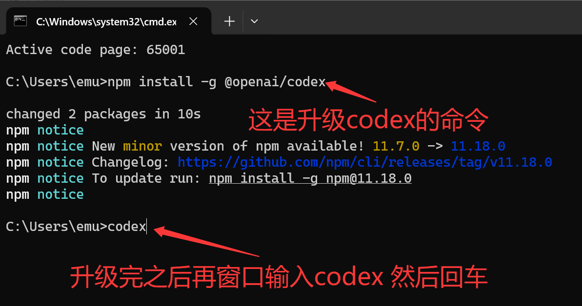 升级codex命令